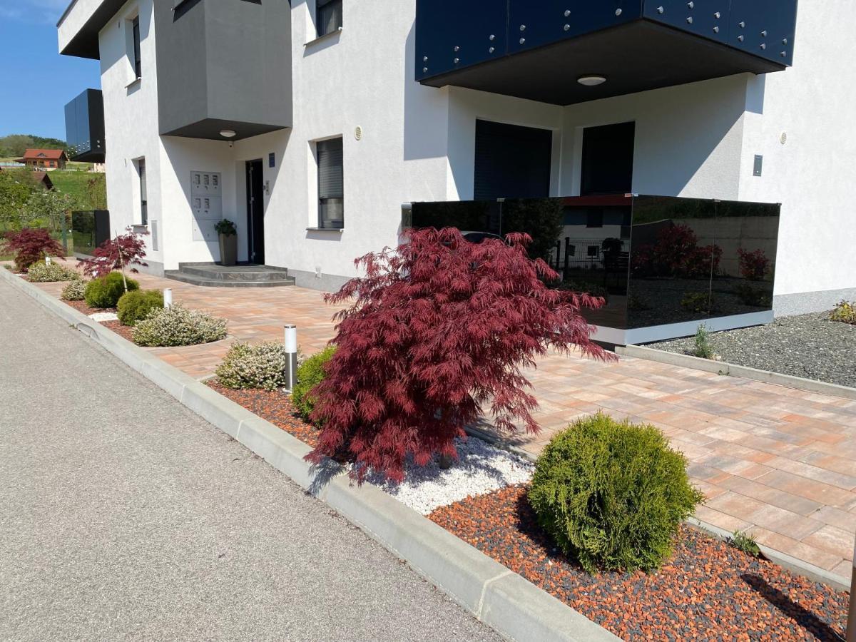 Apartments Dora Sveti Martin Na Muri Luaran gambar
